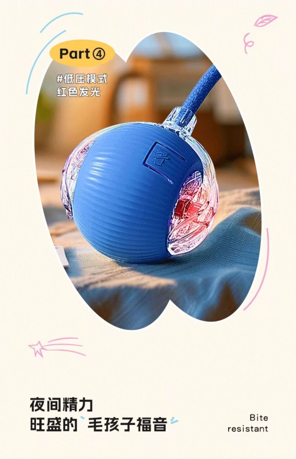 8b707176-b710-4b46-ba1a-4ca8b77eb56a.jpe