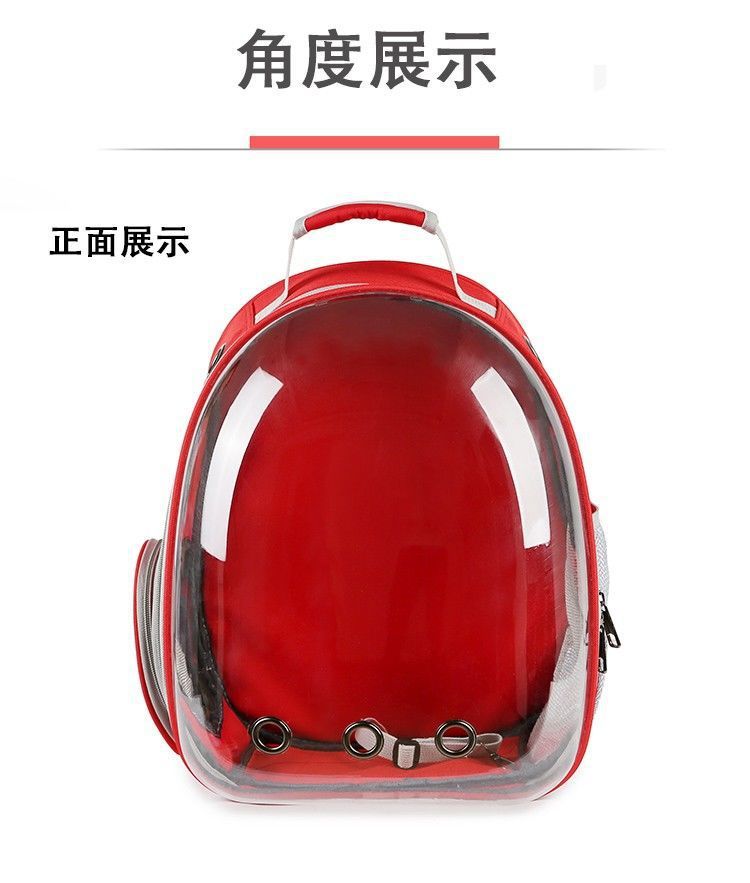 01cd02cb-e630-4cb2-884d-914c0366dc4b.jpe