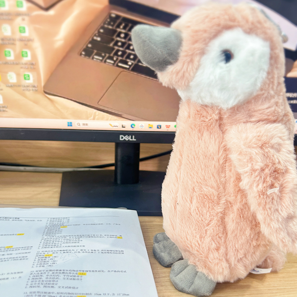 模版-恢复的.png25