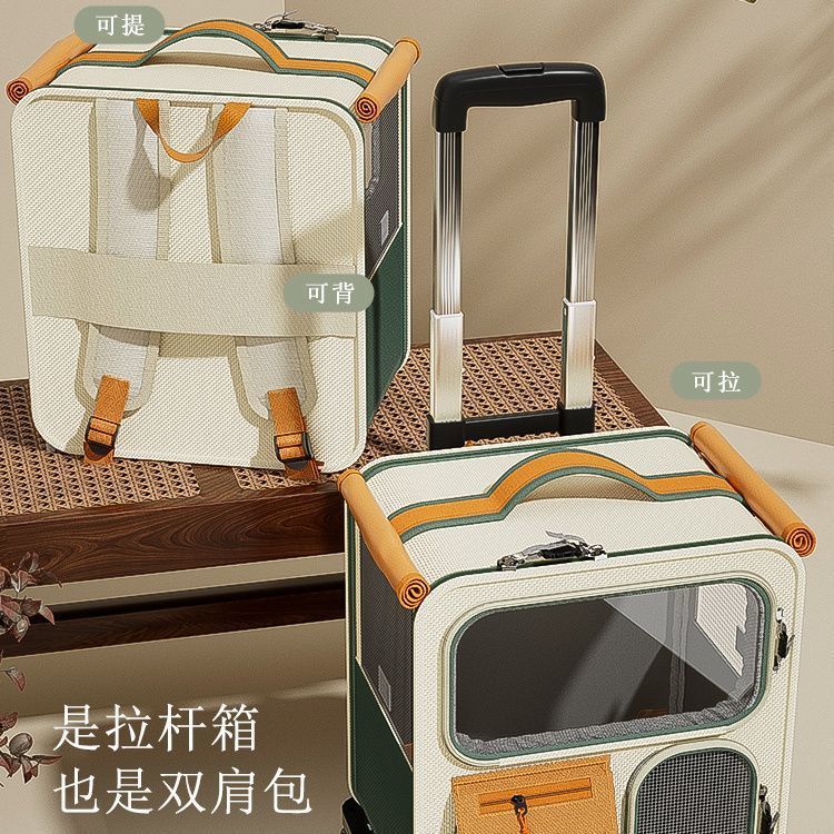 16616843-ec01-407a-978d-54389164bafe.jpe