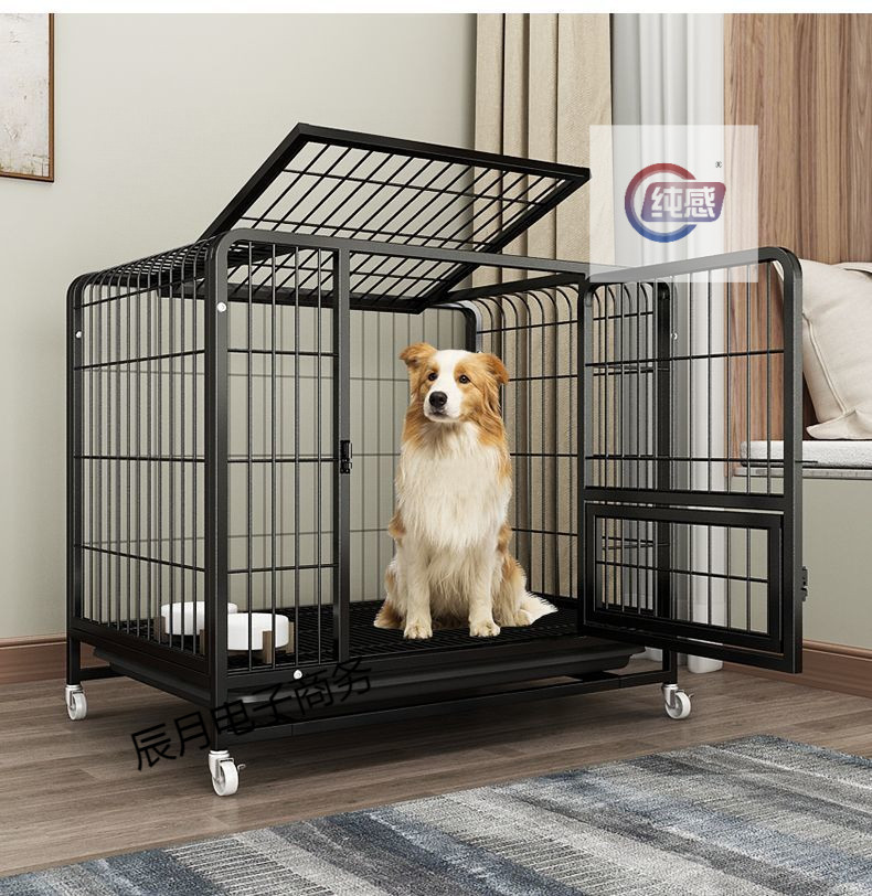 5204b703-db12-4435-a085-1a869216ee8d.jpe