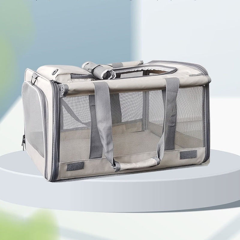 6d50f351-de53-4529-8387-7f16cdf72628.jpe