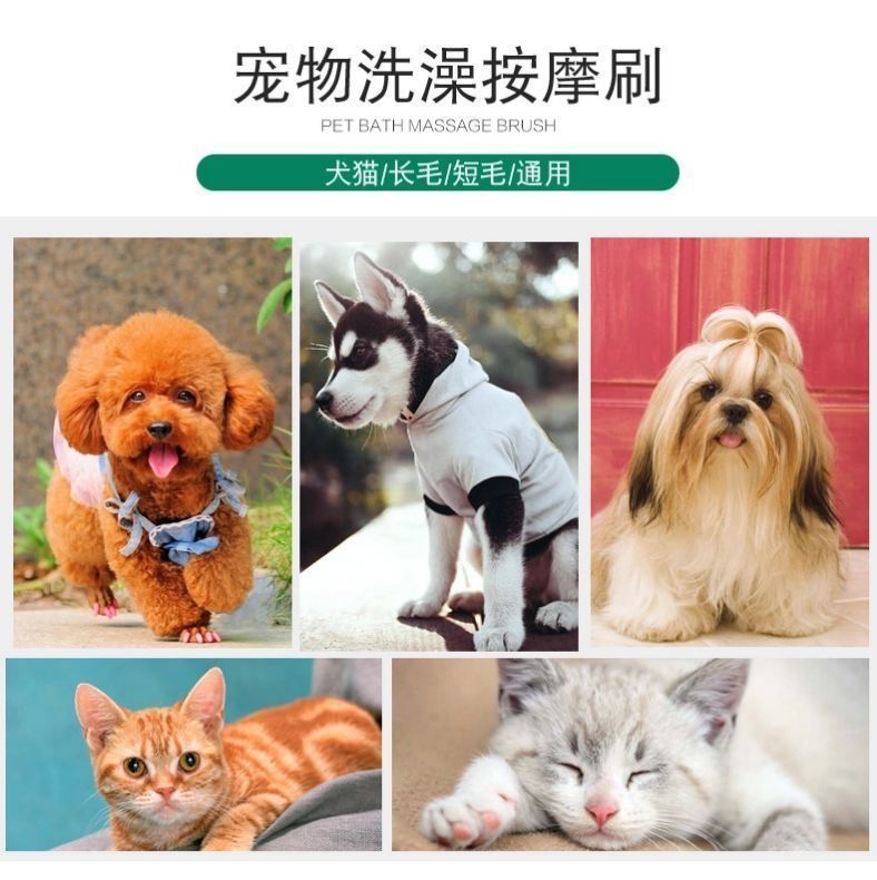 d68fde00-4402-44fa-86f3-03d1e01dbf2c.jpe