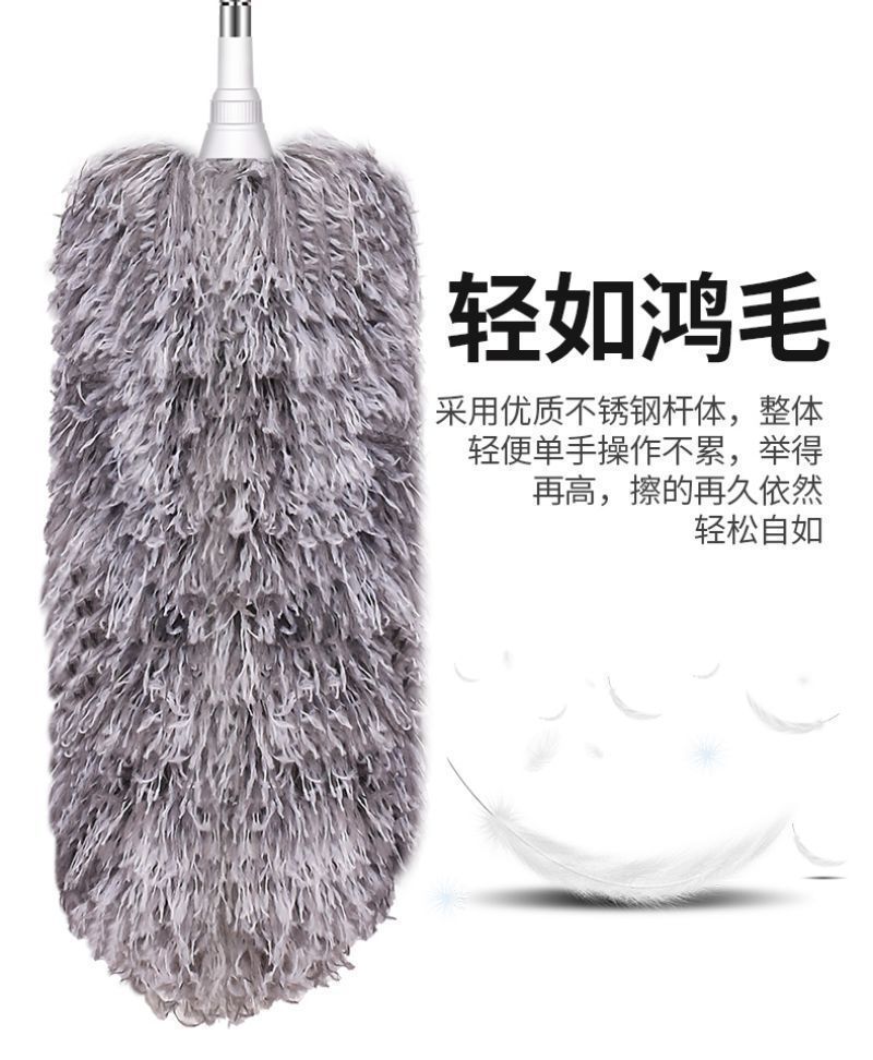 90490a62-3779-4a4a-b778-9089b43bc7df.jpe