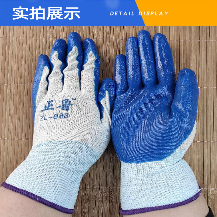 03277#正鲁ZL-888白纱蓝丁腈手套_20.jpg