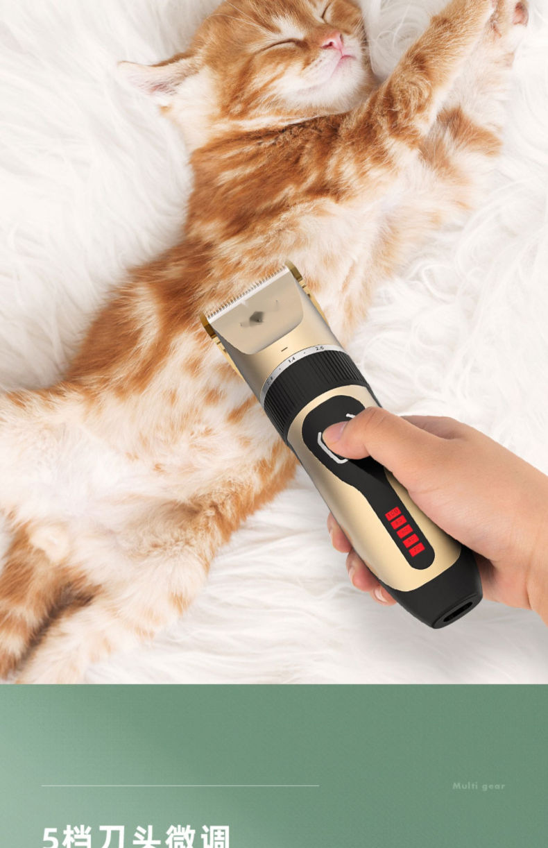 184d3c1d-d925-4d89-8c16-b526479ea218.jpe