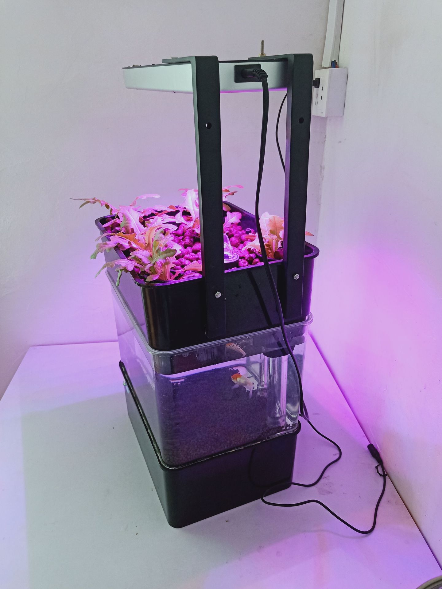 微信图片_20191128124720