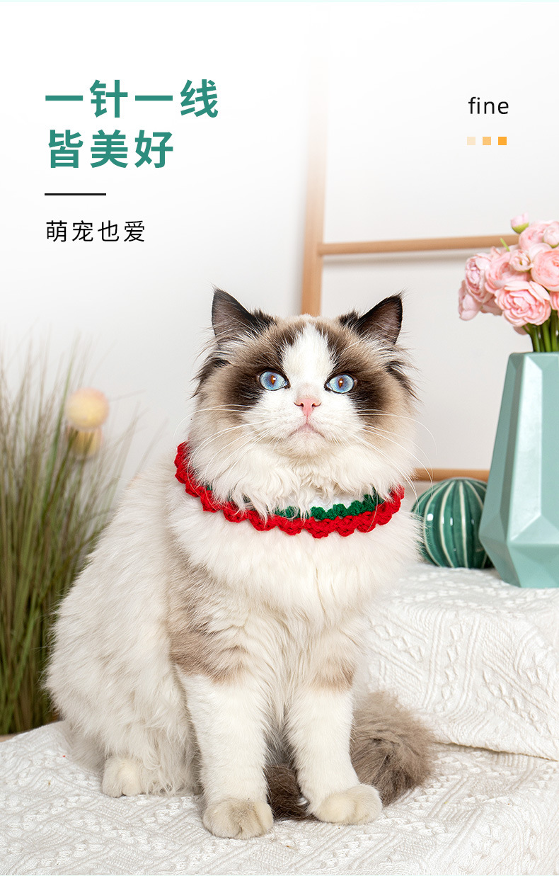 灵喵阿里项圈_05.jpg