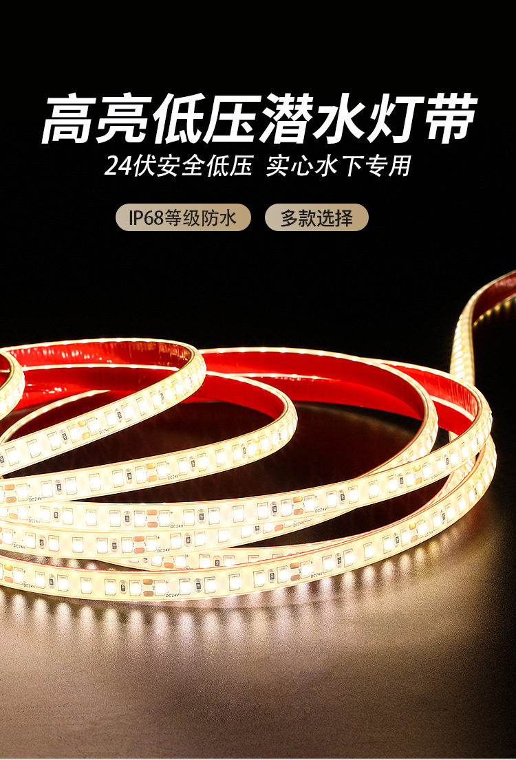 1.高亮低压潜水灯带.jpg