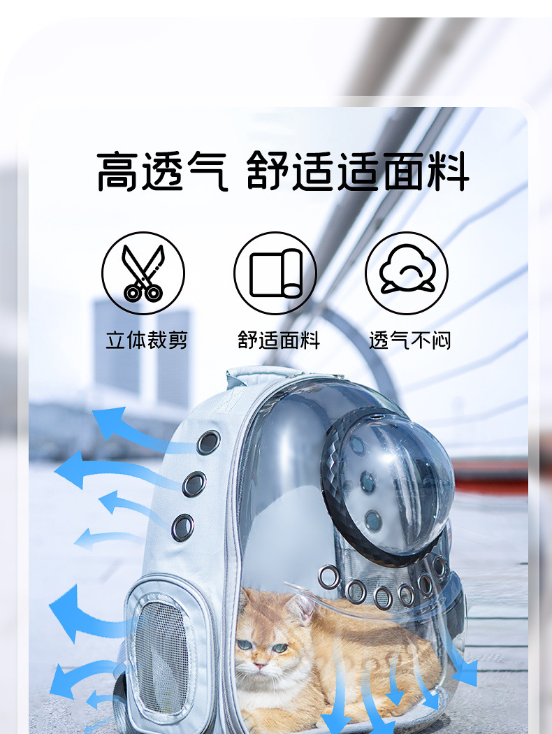 22085306-41ae-40e6-b3a8-db248d907475.jpe