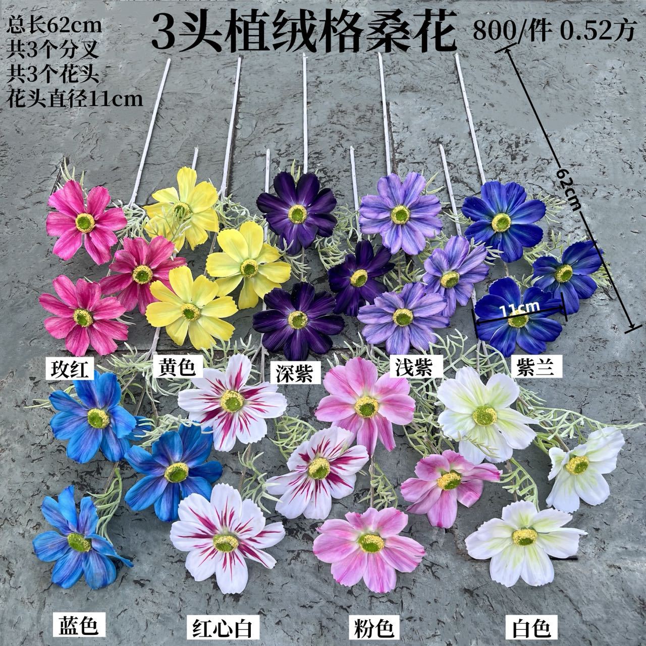 微信图片_20240706152727