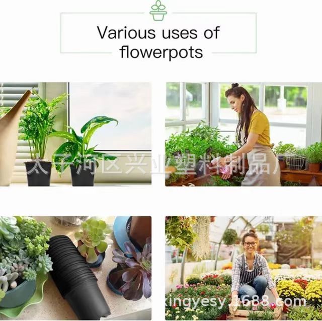 微信图片_20241214142747