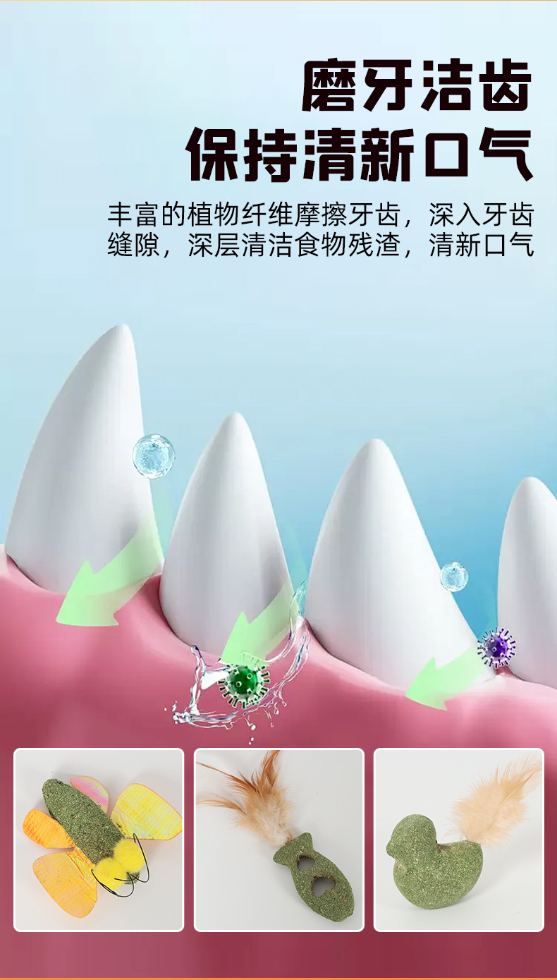 详情(13)(1)_08.jpg