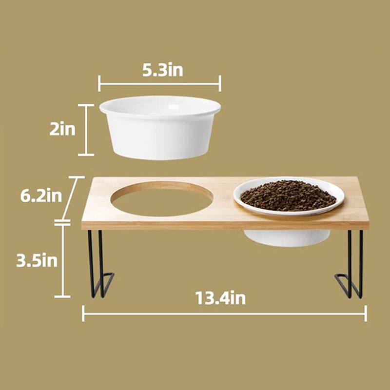 51oQN2Uv5BL._AC_SL1001_