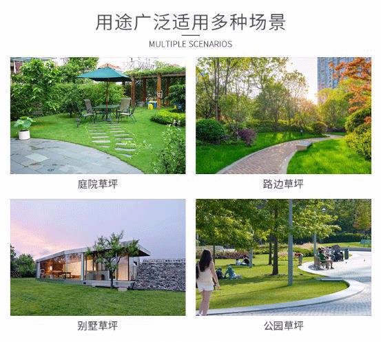 633116650284dec93d944-9cb5-49e