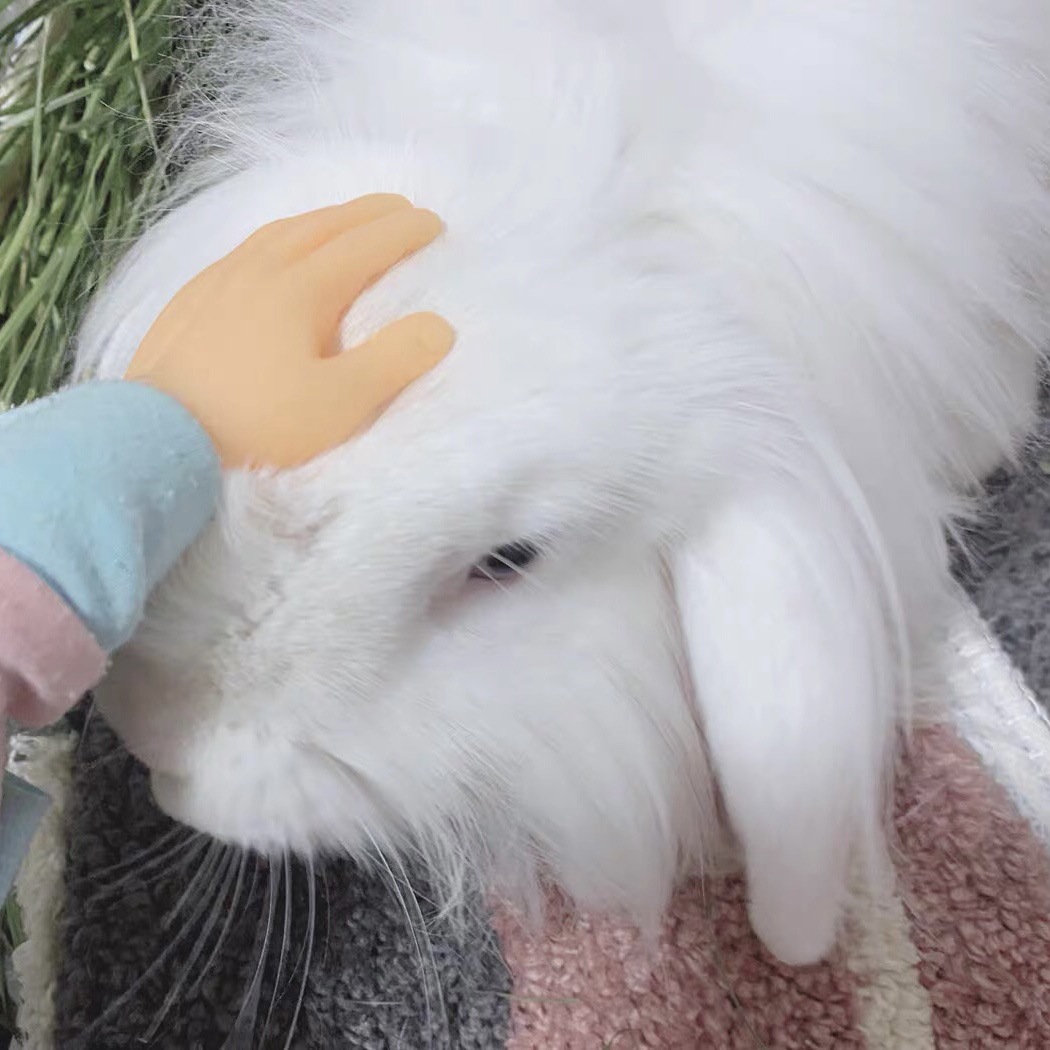 微信图片_2021041016180118