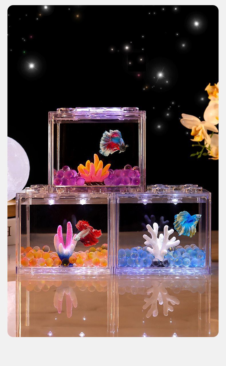 c8c272fc-08f4-4f95-abc7-b650426d92b2.jpe