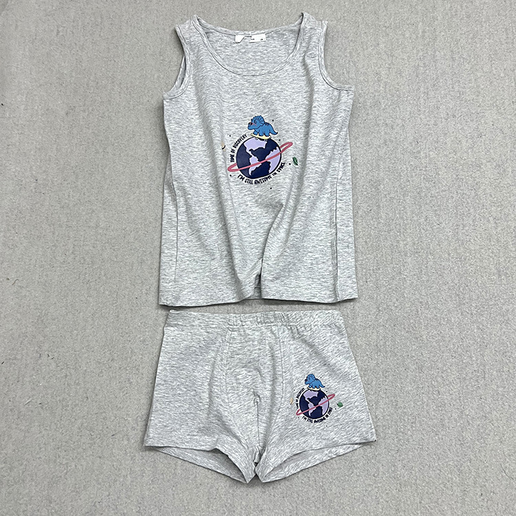 灰色恐龙 (1).jpg