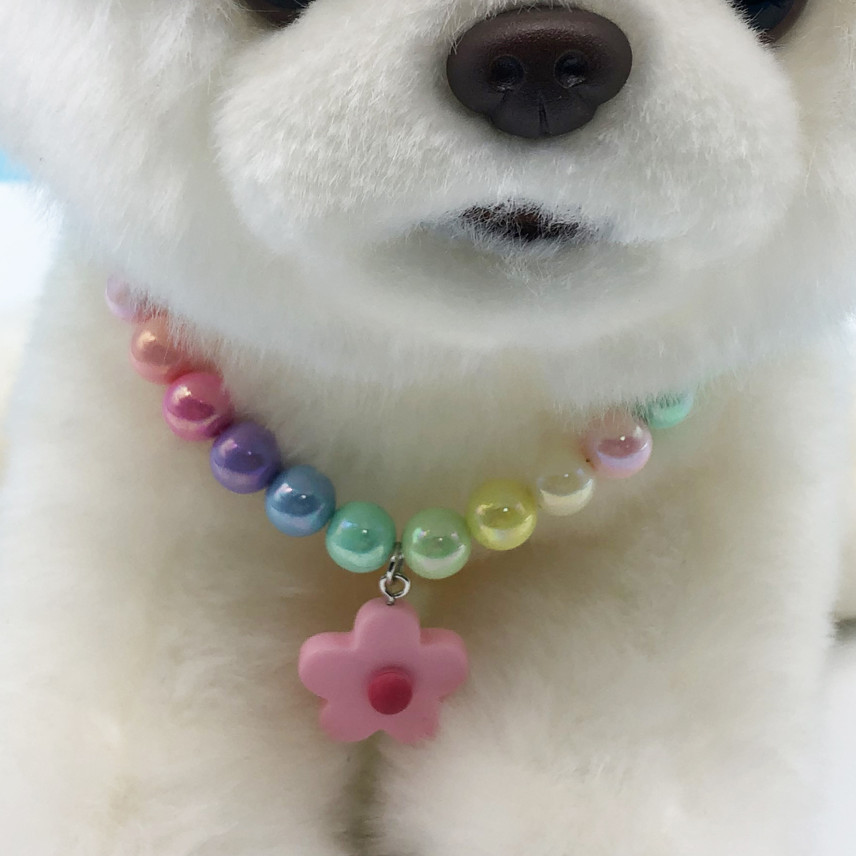 微信图片_20240304150436