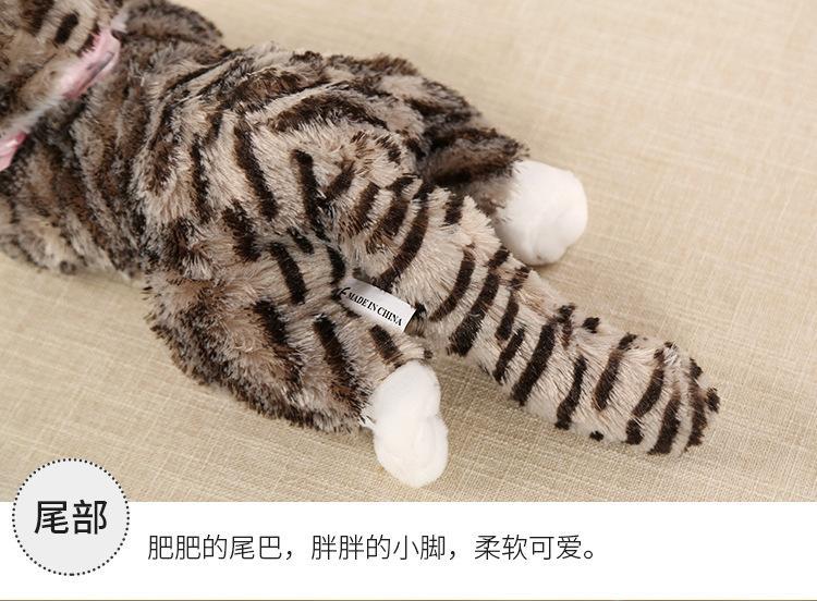 猫猫_11.jpg