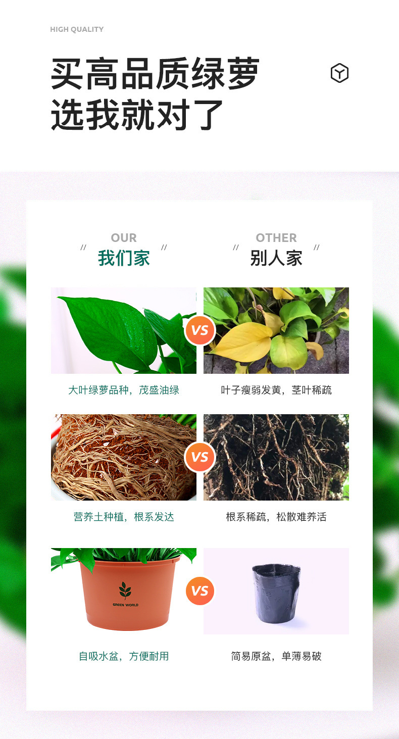 b7ca8177-07b3-481c-9827-357acdb3a4c3.jpe