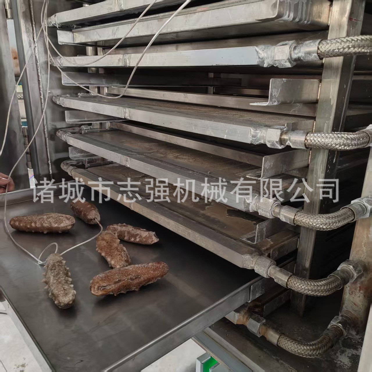 微信图片_20250307144720