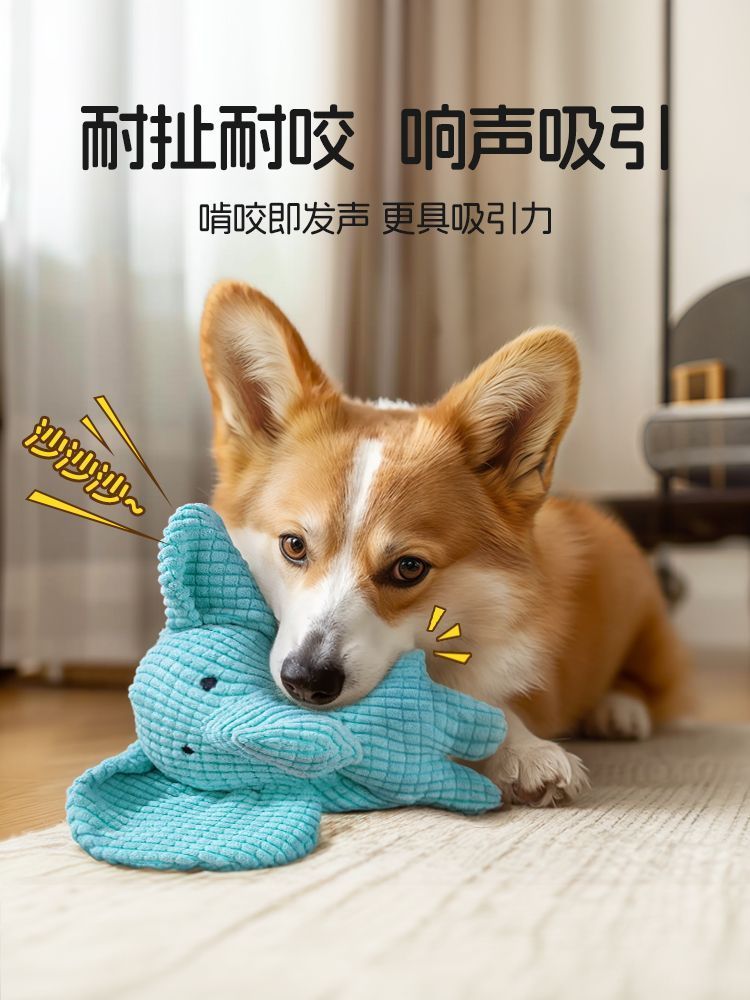 05f2de21-84ae-4b81-9b8f-60ce3cd5366b.jpe