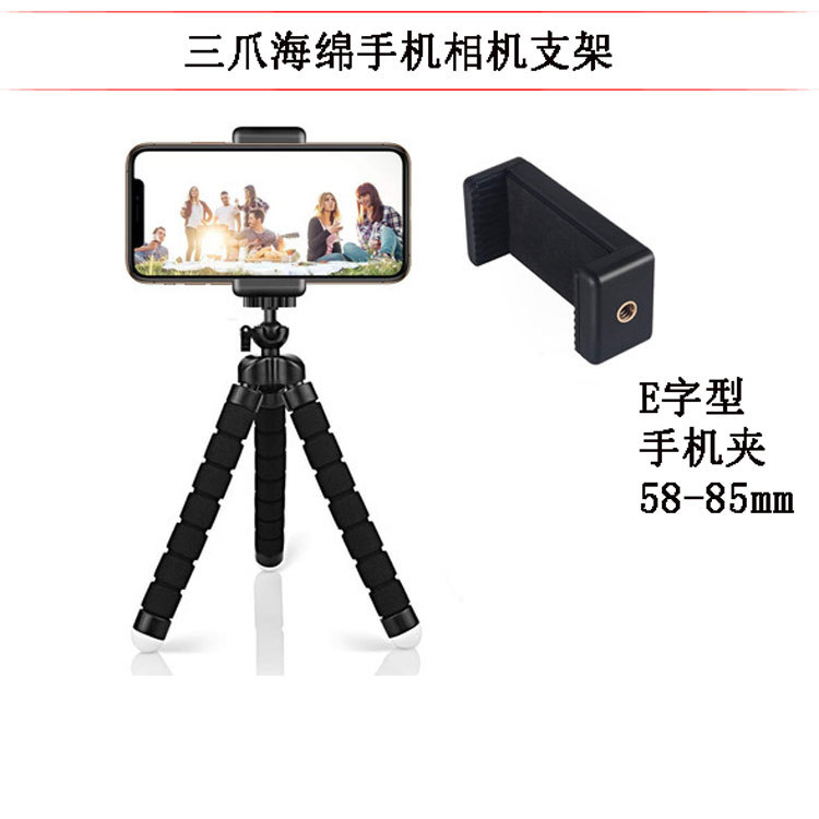 19205152255_40421089