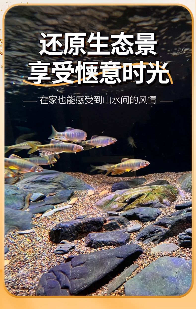 e79cc974-9288-4d86-8fcb-f17031691748.jpe