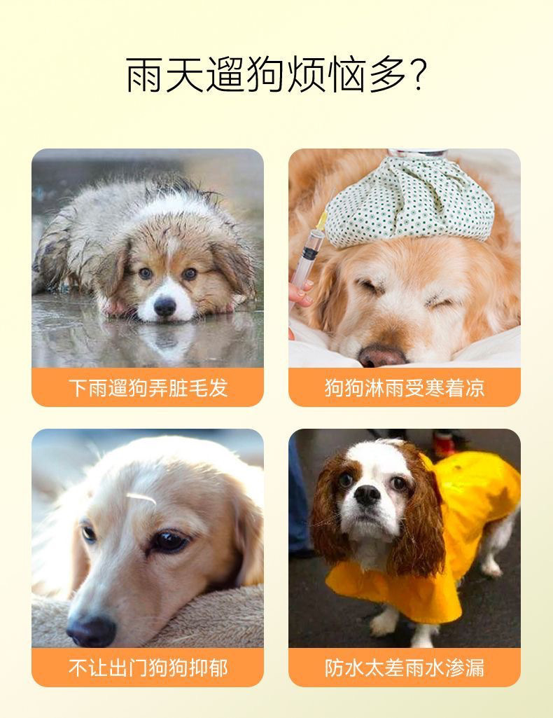 0c132d15-1184-45cf-b99c-8743c42fc080.jpe