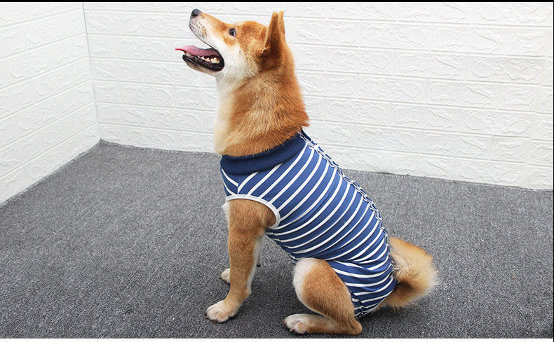 大狗生理服_16.jpg