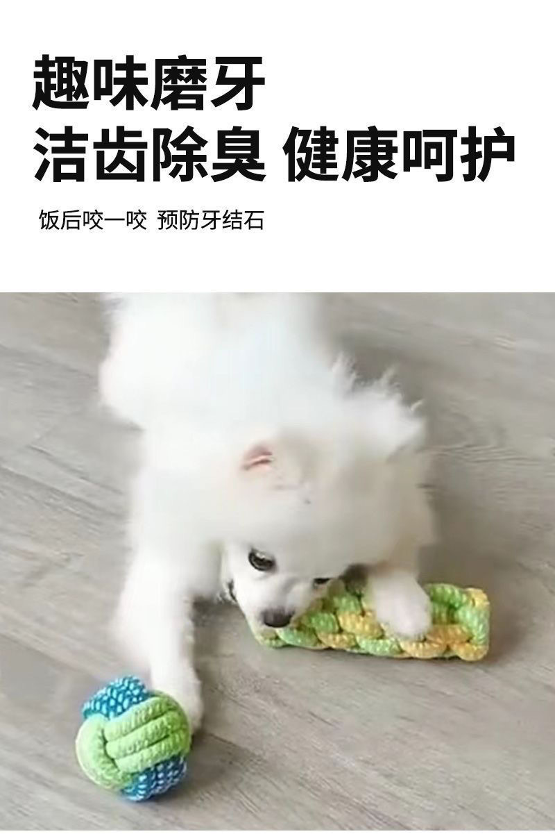 e282a8cf-921b-42f1-9f1e-e81ab6b67f76.jpe