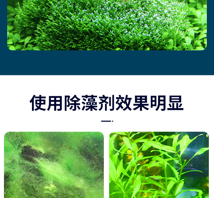 除藻剂_10.jpg