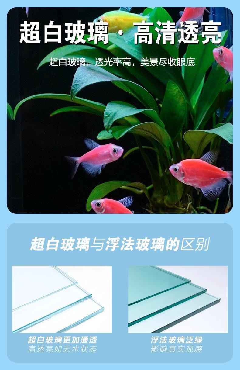 2b5b767f-cf1f-43ec-b2c3-8dcb2faaa259.jpe