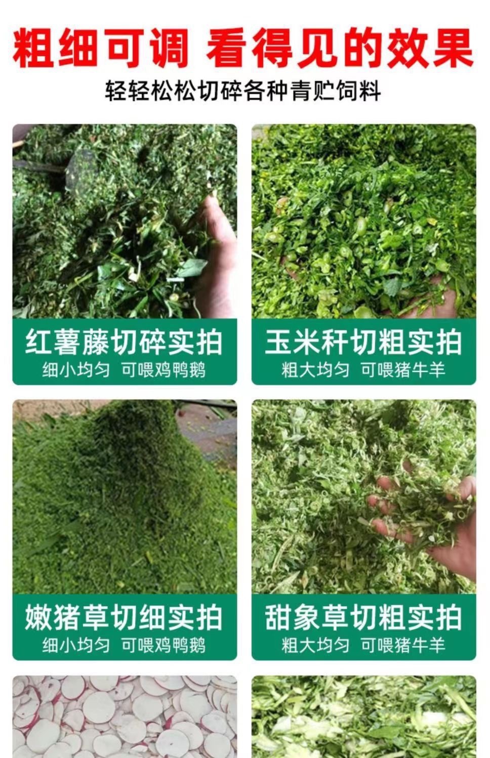 bede475f-6c8c-4c9b-b4ee-8db7d8248fb7.jpe