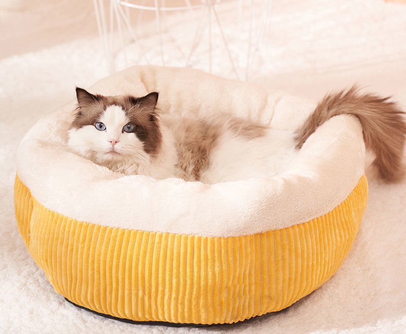 c49f24b8-0071-4852-9b6a-bb8fe6702a42.jpe