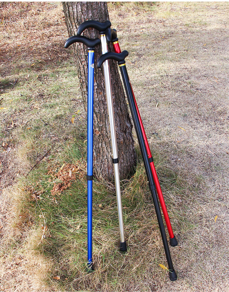 6cbb0f36-f54b-472f-9d1e-334ec42b519b.jpe