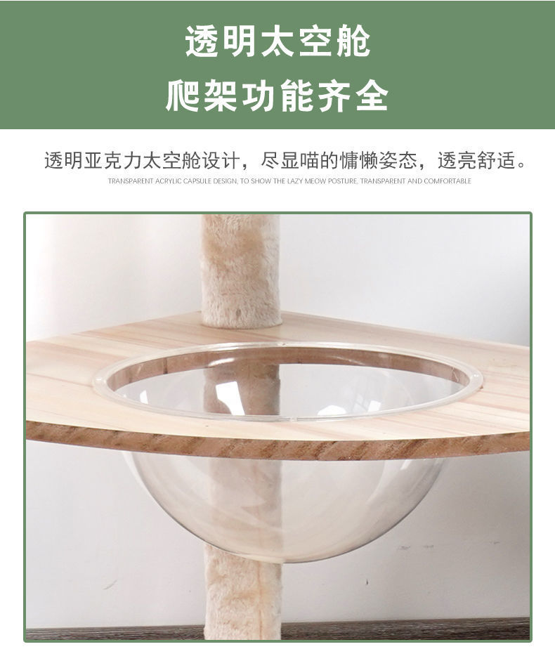 00f57108-d1a9-407e-b429-1706f464e1c5.jpe