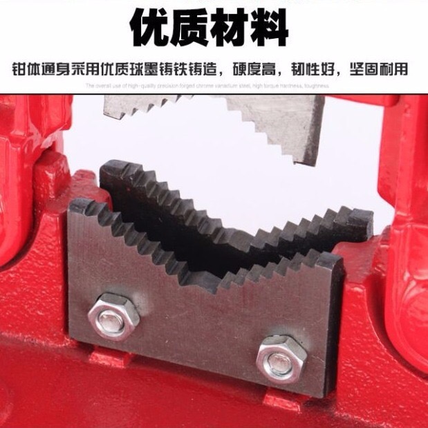 IMG_9923(20210331-121618)