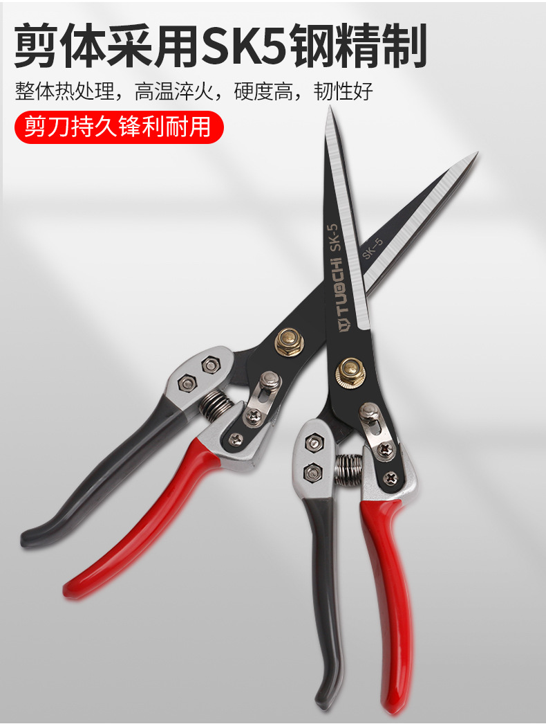 790详情_03.jpg