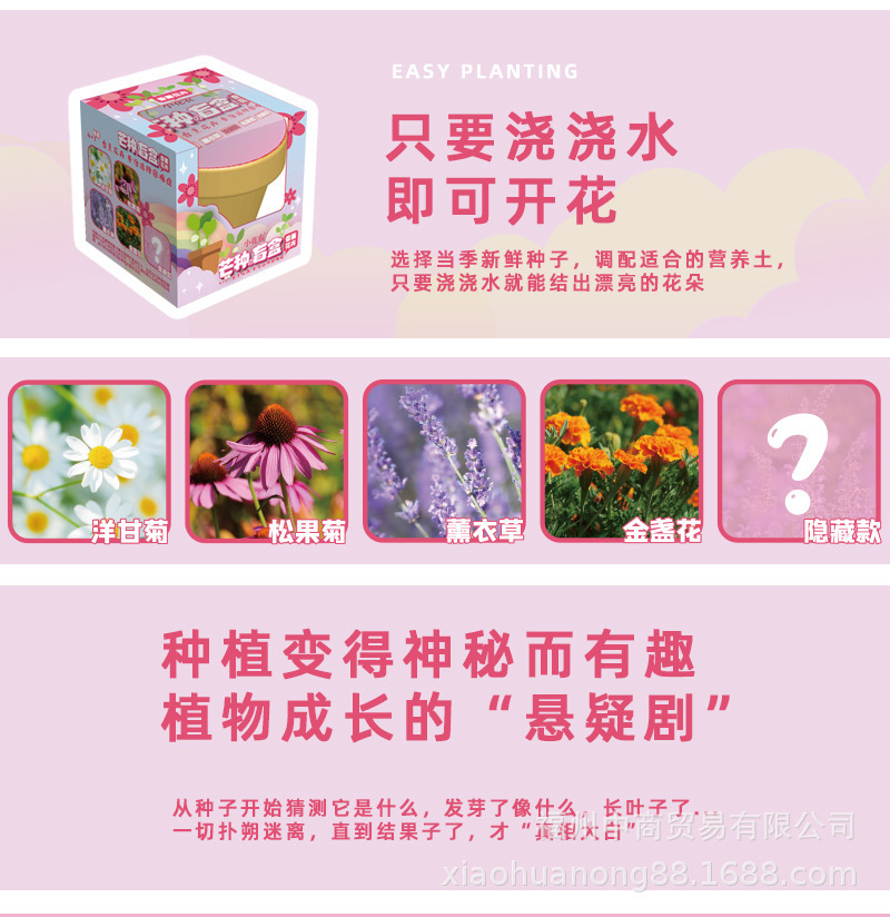 详情_03.jpg