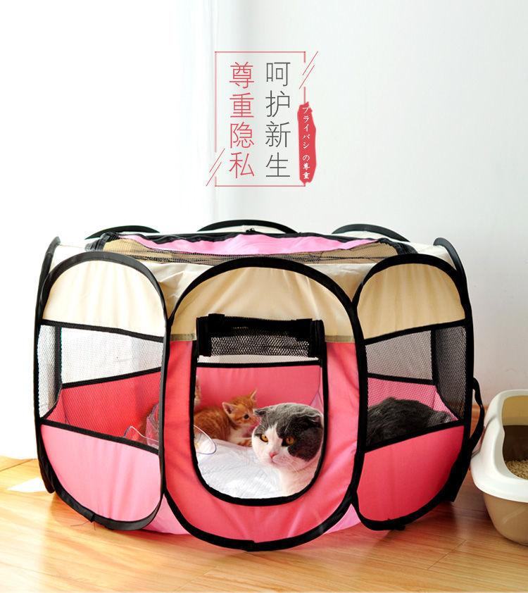 0b07912c-5cc1-4250-a4e9-d279ad8b2362.jpe