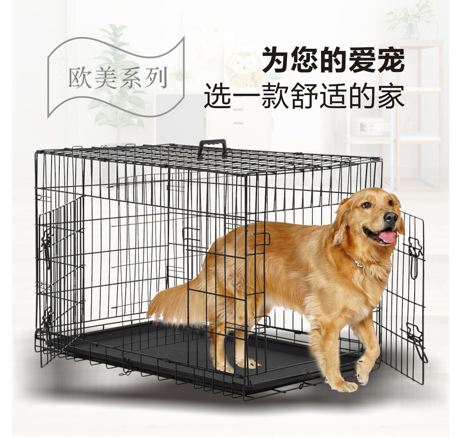 主图1.jpg