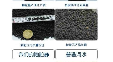 95a3d1ec-fa02-4b41-bfb0-9fa0457c4f0a.jpe