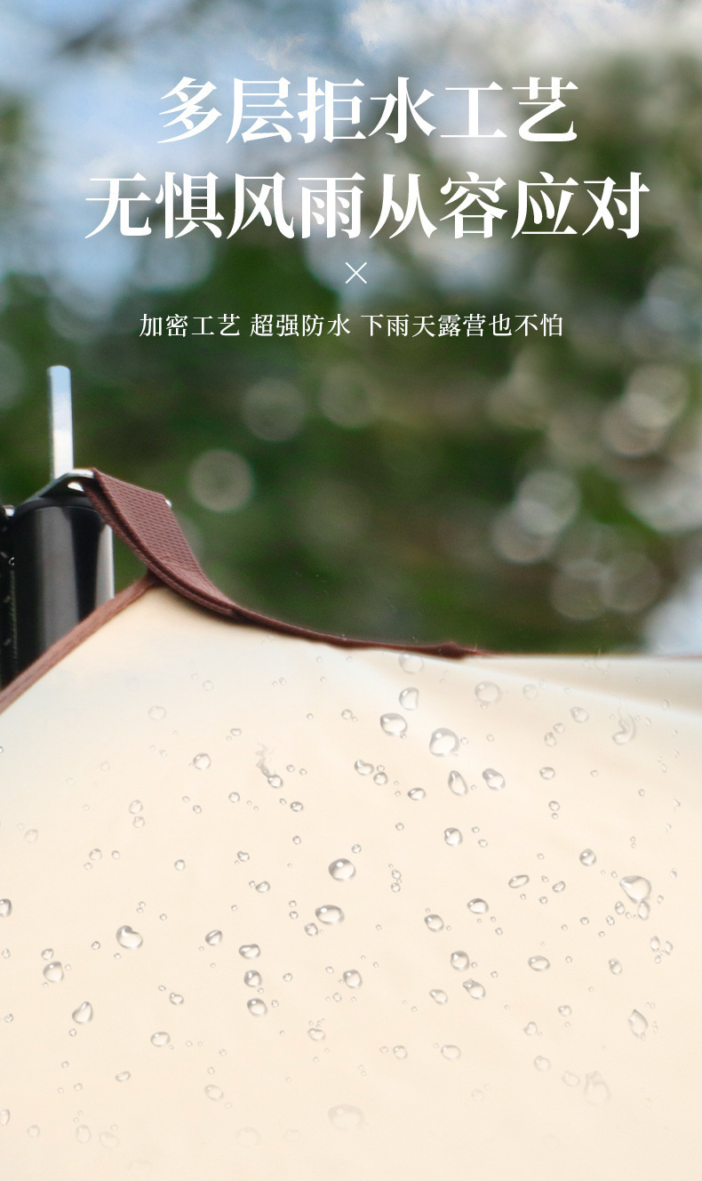 205bef98-5d1d-456e-a2be-65a37735cde8.jpe