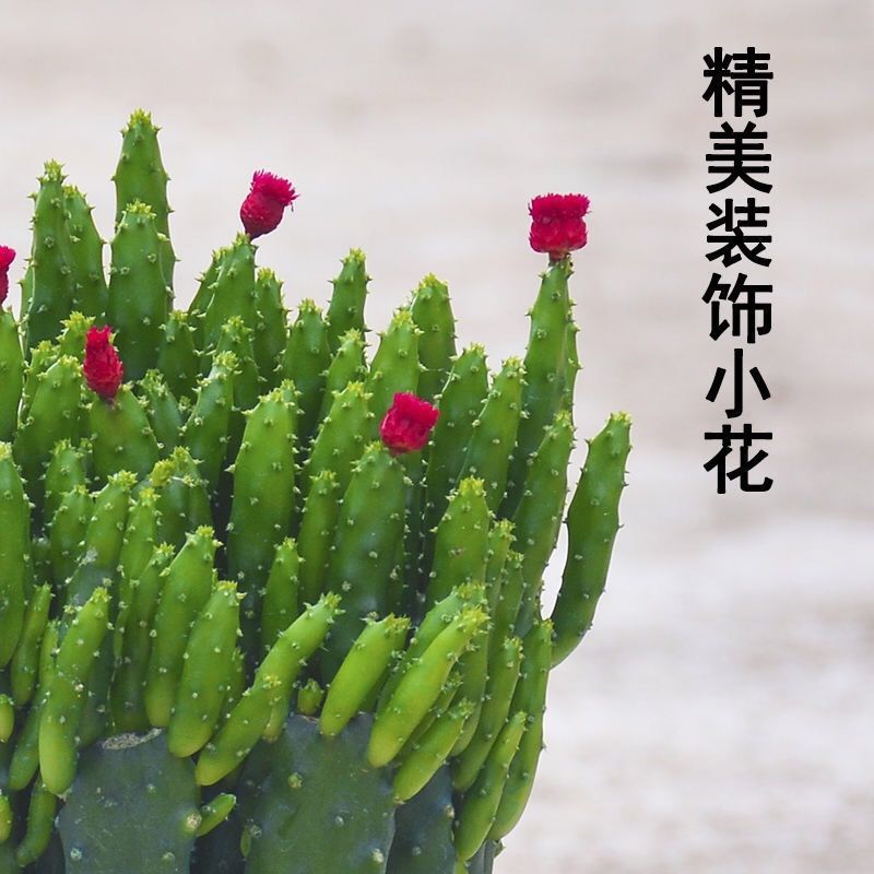 7148810c-9332-40fa-a862-e20f1828c968.jpe