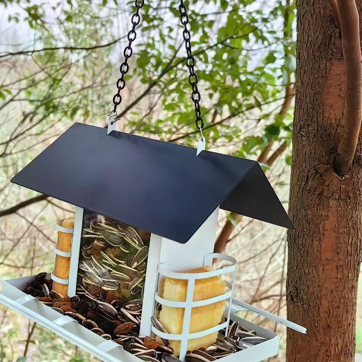 2025-03-05 23:08:54.jpg