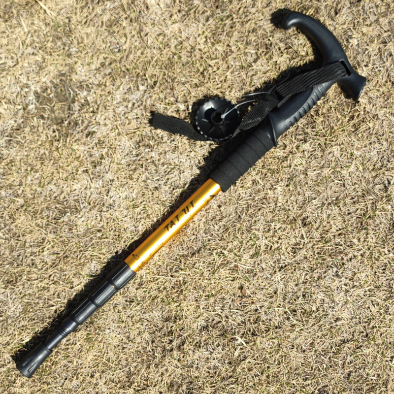 7945450d-7f3e-4766-8486-c4f895be46c9.jpe