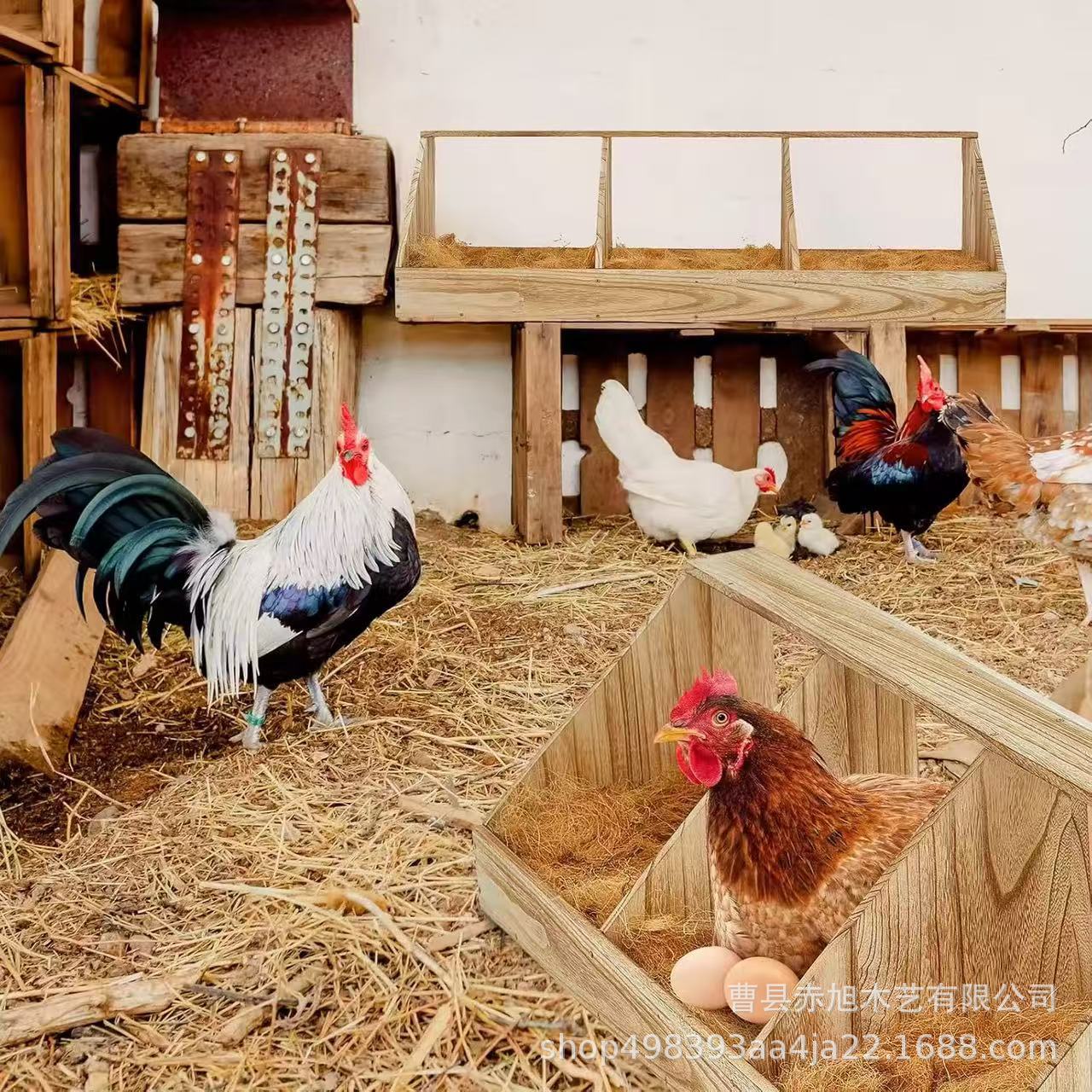 微信图片_20250611102335