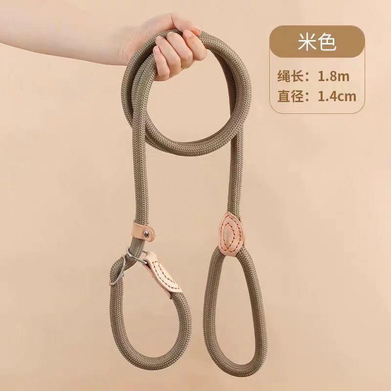 0e46cffe-dbee-45fd-895f-95aa8b480c2c.jpe